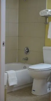 Stüdyo Süit, 1 En Büyük (King) Boy Yatak, Sigara İçilmez