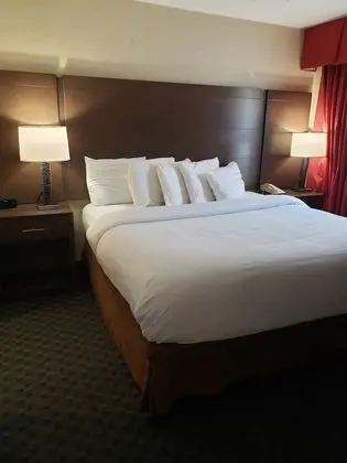 Standard Süit, 1 En Büyük (King) Boy Yatak ve Çekyat, Sigara İçilmez (One-Bedroom)