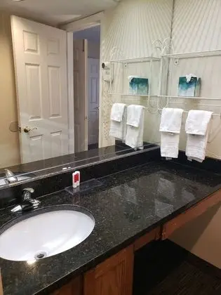 Standard Süit, 1 En Büyük (King) Boy Yatak ve Çekyat, Sigara İçilmez (One-Bedroom)