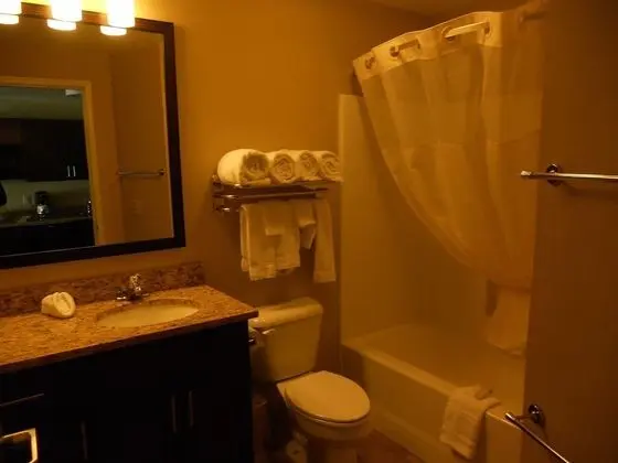 Deluxe Studio Suite, 1 King Bed, Accessible, Non Smoking, No Pets