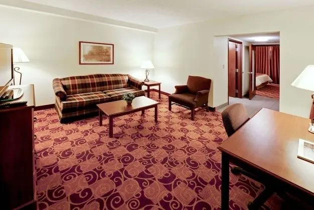 Executive Süit, 1 En Büyük (King) Boy Yatak, Sigara İçilmez (One-Bedroom)