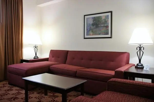 Executive Süit, 1 En Büyük (King) Boy Yatak, Sigara İçilmez (One-Bedroom)