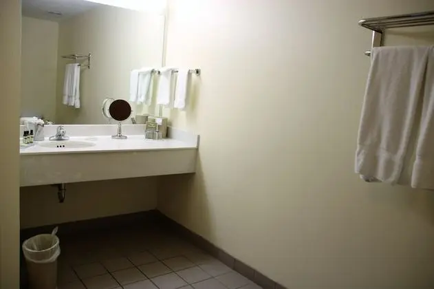 Executive Süit, 1 En Büyük (King) Boy Yatak, Sigara İçilmez (One-Bedroom)