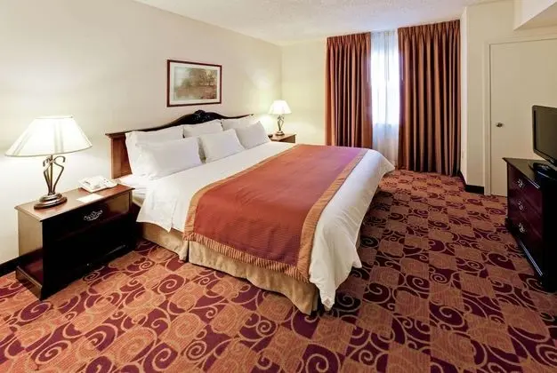 Süit, 1 En Büyük (King) Boy Yatak, Engellilere Uygun, Sigara İçilmez (One-Bedroom)