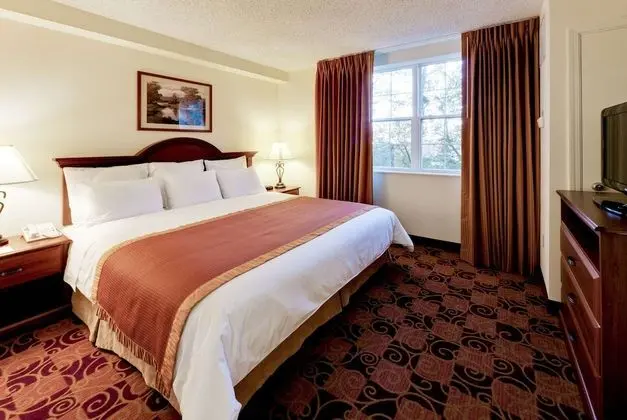 Süit, 1 En Büyük (King) Boy Yatak, Sigara İçilmez (One-Bedroom)