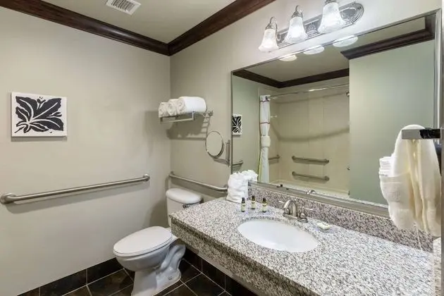 Deluxe Süit, 1 En Büyük (King) Boy Yatak, Engellilere Uygun (Hearing, Mobility Tub w/Grab Bars)