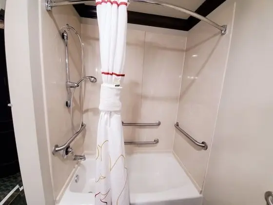 Oda, 1 En Büyük (King) Boy Yatak, Engellilere Uygun, Sigara İçilmez (Tub with Grab Bars)