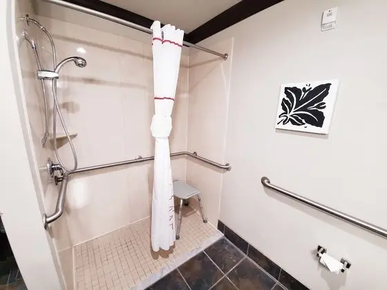 Süit, 2 Büyük (Queen) Boy Yatak, Engellilere Uygun, Sigara İçilmez (Roll-In Shower)