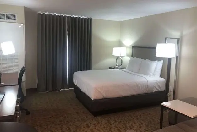 Süit, 1 Büyük (Queen) Boy Yatak, Engellilere Uygun (Mobility/Hearing, Roll-In Shower)