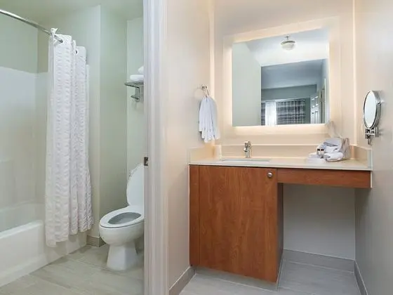 Süit, Birden Çok Yatak, Sigara İçilmez (Two Bedroom)