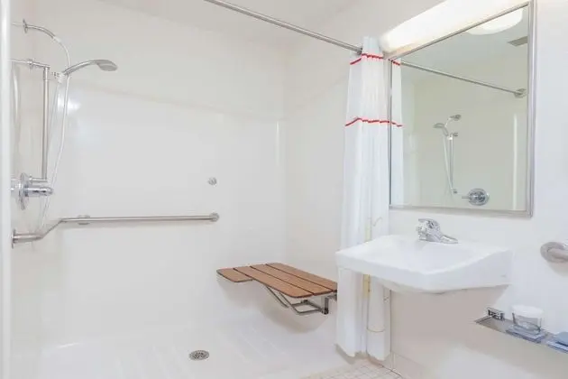 Süit, 1 Büyük (Queen) Boy Yatak ve Çekyat, Engellilere Uygun, Sigara İçilmez (Roll-In Shower)