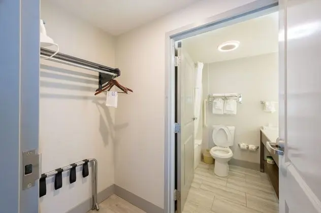 Deluxe Stüdyo Süit, 2 Büyük (Queen) Boy Yatak, Sigara İçilmez