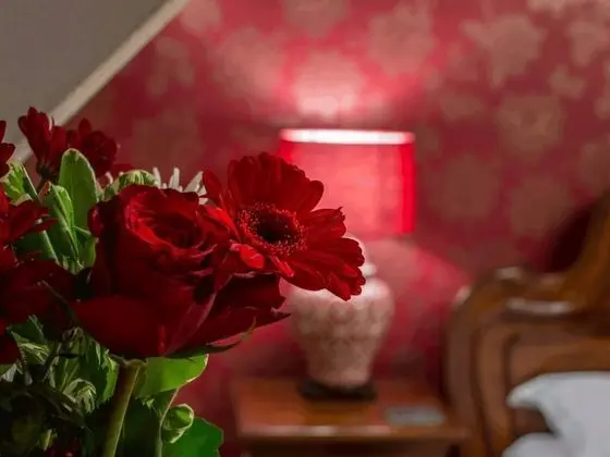Luxury Kır Evi