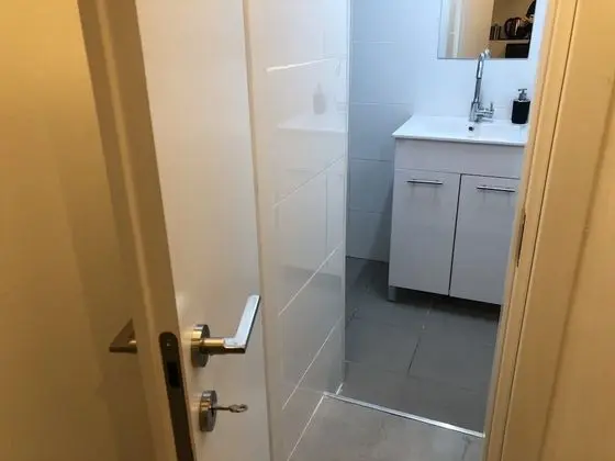 Junior Apart Daire, 1 Çift Kişilik Yatak ve Çekyat