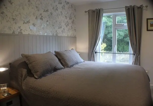Comfort Tek Büyük veya İki Ayrı Yataklı Oda (The Orchid Rooms)