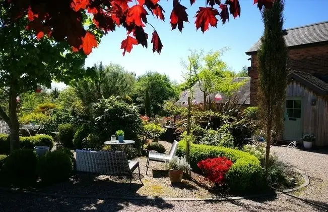 Design Oda, 1 En Büyük (King) Boy Yatak, Sigara İçilmez, Avlu Manzaralı