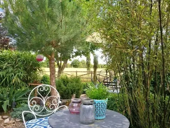 Design Oda, 1 En Büyük (King) Boy Yatak, Sigara İçilmez, Avlu Manzaralı