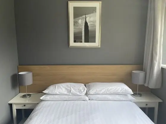 Standard Tek Büyük Yataklı Oda, 1 Çift Kişilik Yatak, Banyolu/Duşlu