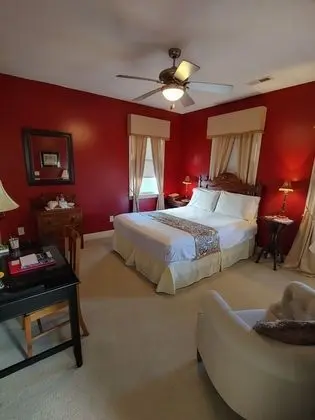 Standard Tek Büyük Yataklı Oda, Banyolu/Duşlu (Red room)