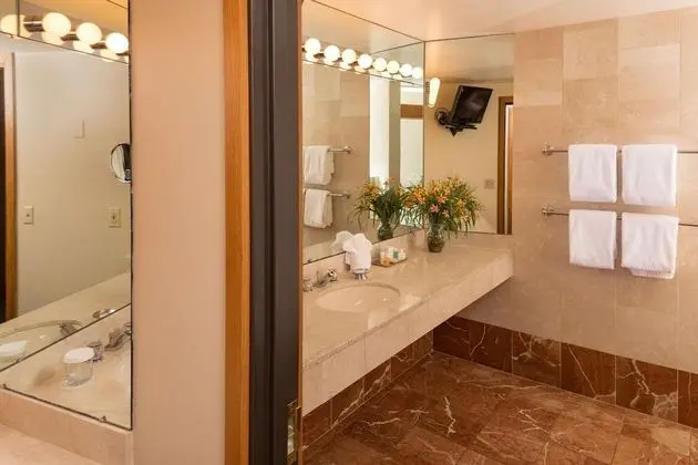Executive Süit, 1 En Büyük (King) Boy Yatak ve Çekyat, Şehir Manzaralı (Jetted Tub)