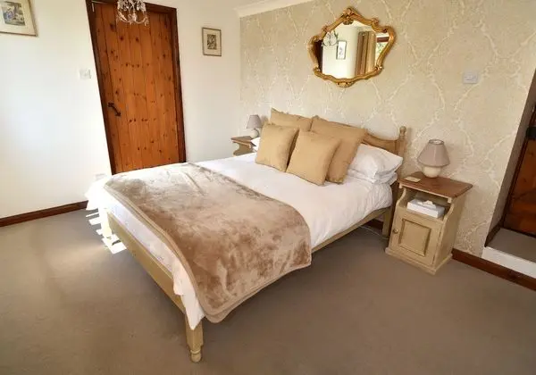 Tek Büyük Yataklı Oda, Banyolu/Duşlu (Willow)