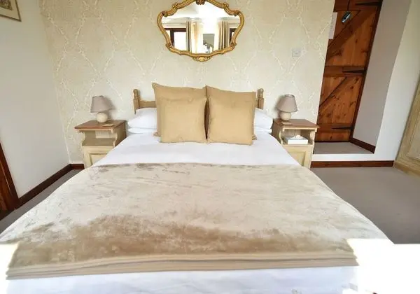 Tek Büyük Yataklı Oda, Banyolu/Duşlu (Willow)