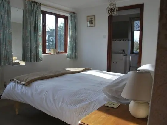 Tek Büyük Yataklı Oda, Banyolu/Duşlu (Willow)