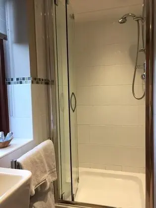 Tek Büyük Yataklı Oda, Banyolu/Duşlu (Willow)