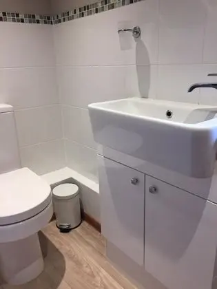 Tek Büyük Yataklı Oda, Banyolu/Duşlu (Willow)