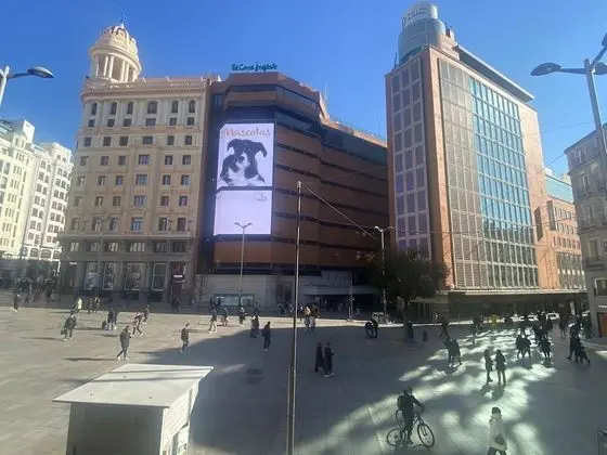 Club Ortak Ranzalı Oda