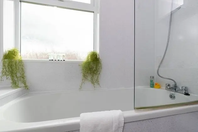 Superior Apart Daire, Özel Banyo (Taylor Avenue)