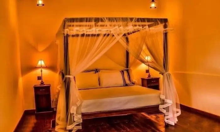 Deluxe İki Ayrı Yataklı Oda, Özel Banyo, Bahçe Manzaralı
