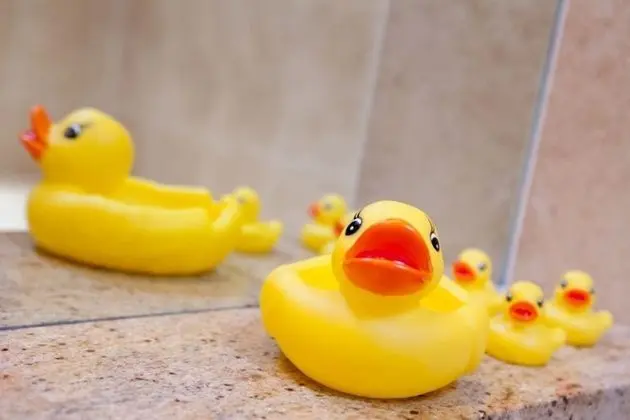 Ev, Birden Çok Yatak