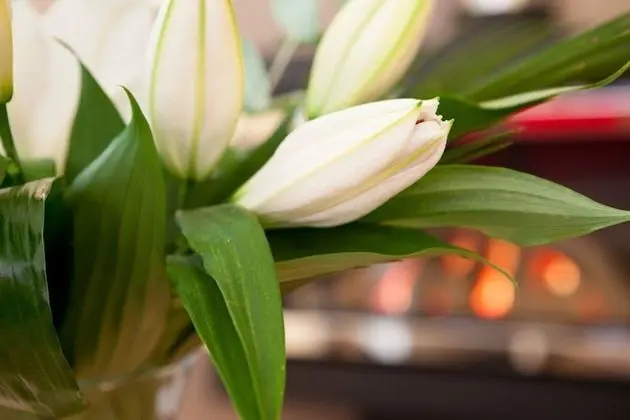 Ev, Birden Çok Yatak