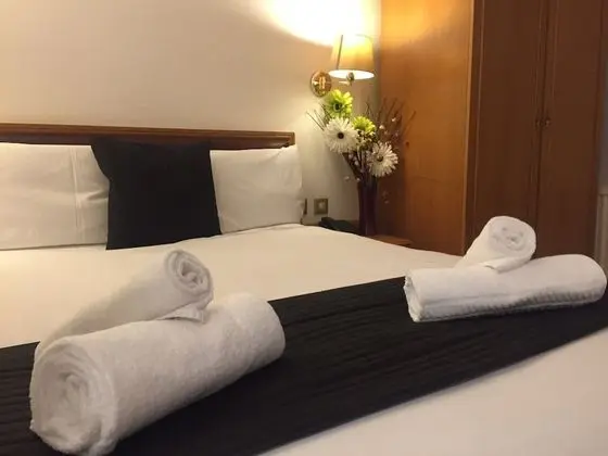 Deluxe Büyük Yataklı Tek Kişilik Oda, 1 Büyük (Queen) Boy Yatak, Bahçe Manzaralı