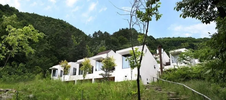 Oda