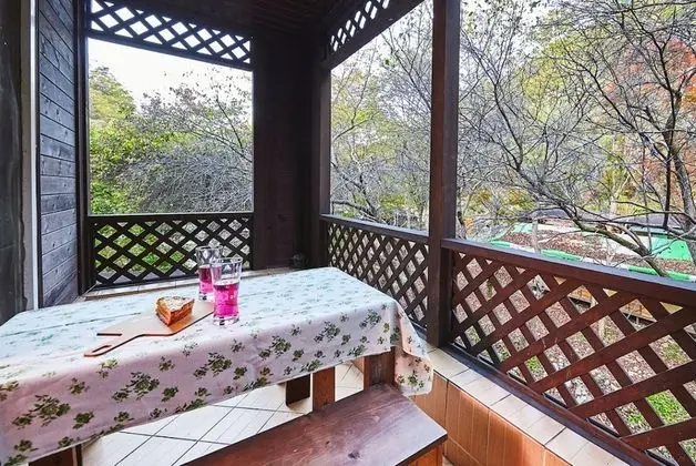 Oda (Hinoki Cypress)