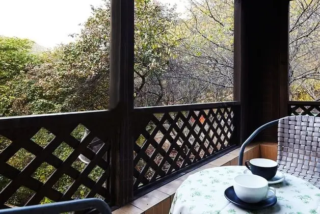 Oda (Hinoki Cypress)