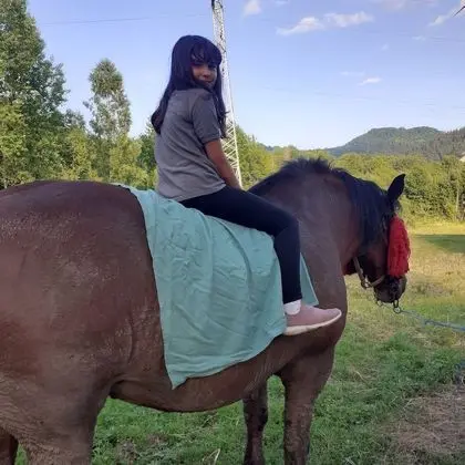 Oda, 1 Yatak Odası, Veranda