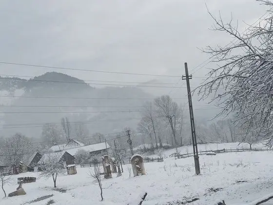 Oda, 1 Yatak Odası, Veranda