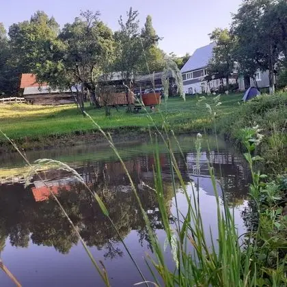 Oda, 1 Yatak Odası, Veranda