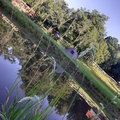 Oda, 1 Yatak Odası, Veranda