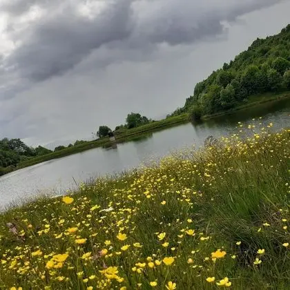 Oda, 1 Yatak Odası, Veranda