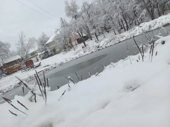 Oda, 1 Yatak Odası, Veranda