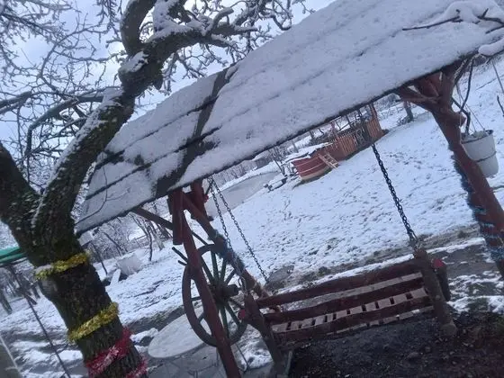 Oda, 1 Yatak Odası, Veranda