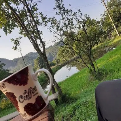 Oda, 1 Yatak Odası, Veranda