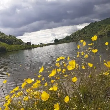 Oda, 1 Yatak Odası, Veranda