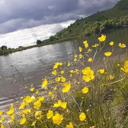 Oda, 1 Yatak Odası, Veranda
