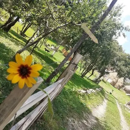 Oda, 1 Yatak Odası, Veranda