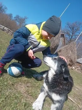 Oda, 1 Yatak Odası, Veranda